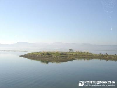 Marismas de Santoña (visita Ornitológica); escapadas alrededor de madrid